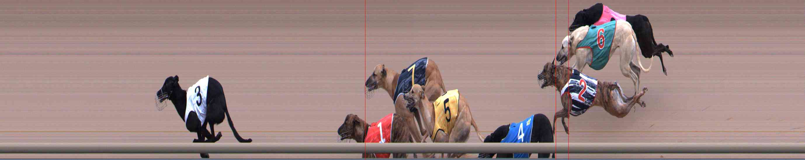 Race result finish photo